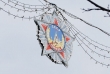 'USSR Victory' decorations on Khreshchatyk Boulevard