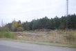 Chernobyl - Red Forest regrowth