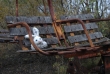 Pripyat - Fairground - Swing ride - Plush toy