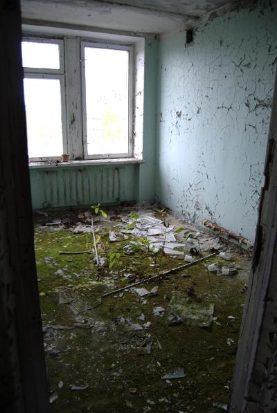 Pripyat - Hotel Polissya - Room with plants