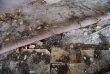 Pripyat - School - Film negatives
