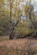 Pripyat - School - Playground Basketball Court