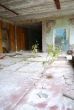 Pripyat - School - Second floor common-room - Plants