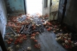 Pripyat - Sports complex - Azure pool - Remnants of lane dividers