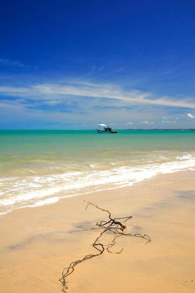 Drift wood branch with fishing boat (Corumbau, Bahia, Brazil)
