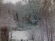 Snowy view outside my window at work