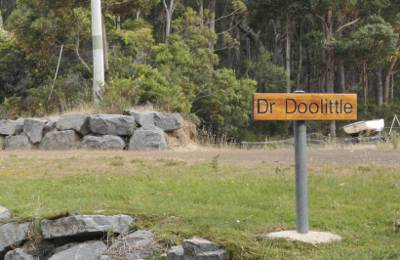 Dr. Doolittle