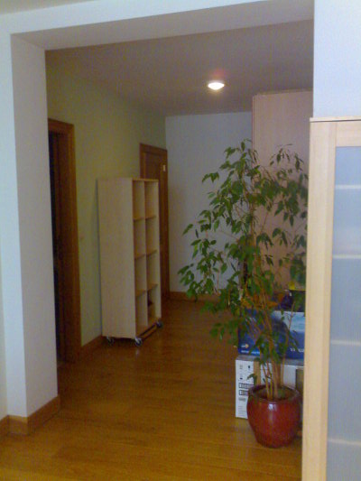Still a work in progress: The hallway area thing