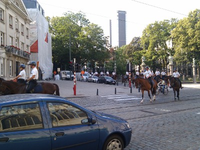 Police horses (Sablon)