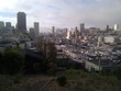 Financial District (FiDi) view from Coit Tower